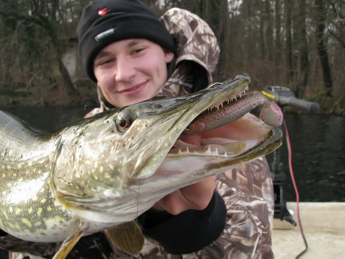 Welche Spinnergröße auf Hecht