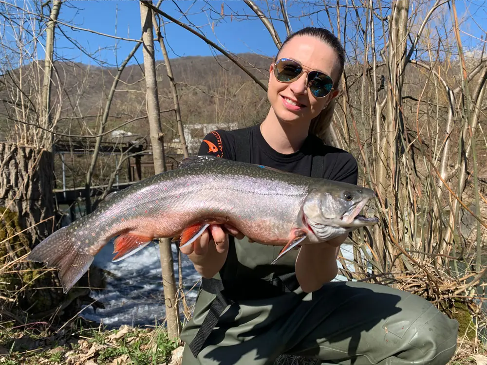 Kapitale Forellen fangen kann jeder